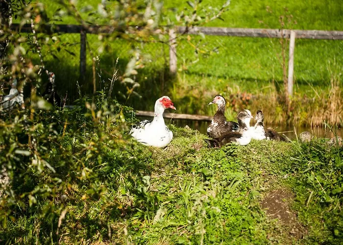 Lantgård Puerstinghof Flachau